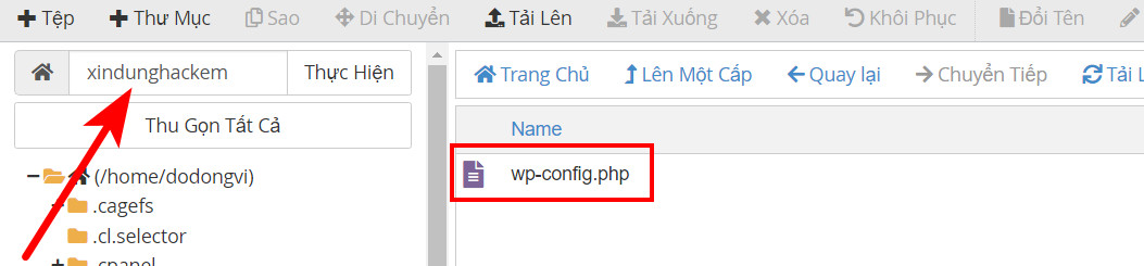 Bảo mật Website WordPress hiệu quả bằng các phương pháp tốt nhất 61 Tải File wp-config lên thư mục con vừa tạo mới