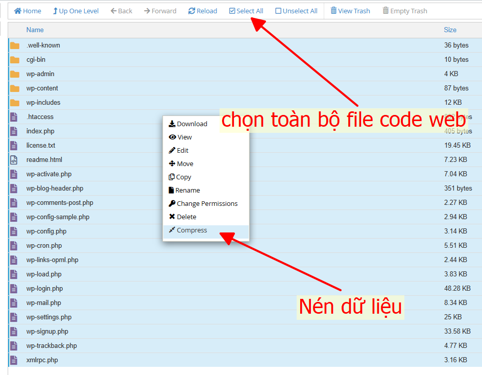 Hướng dẫn cách backup thủ công một website trên hosting cPanel