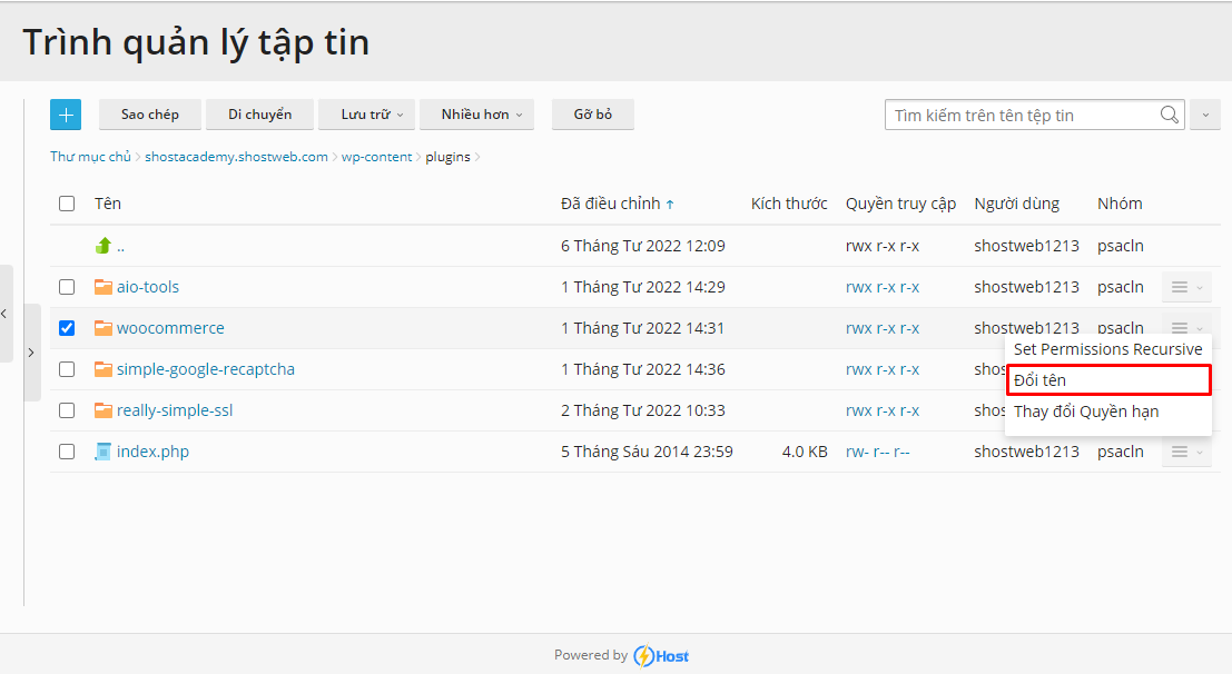 Hướng dẫn sửa lỗi trắng trang của website WordPress