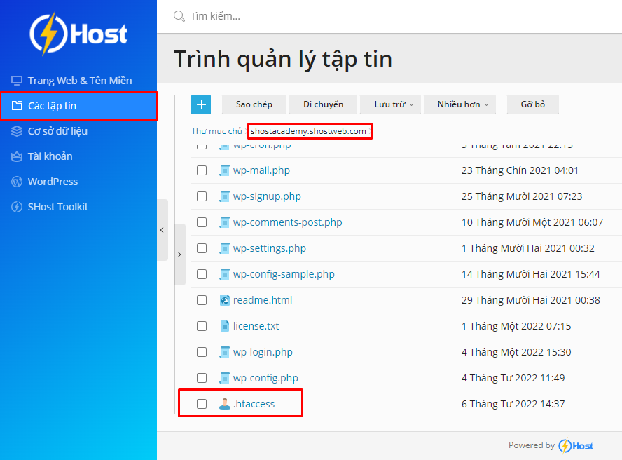 Hướng dẫn sửa lỗi trắng trang của website WordPress
