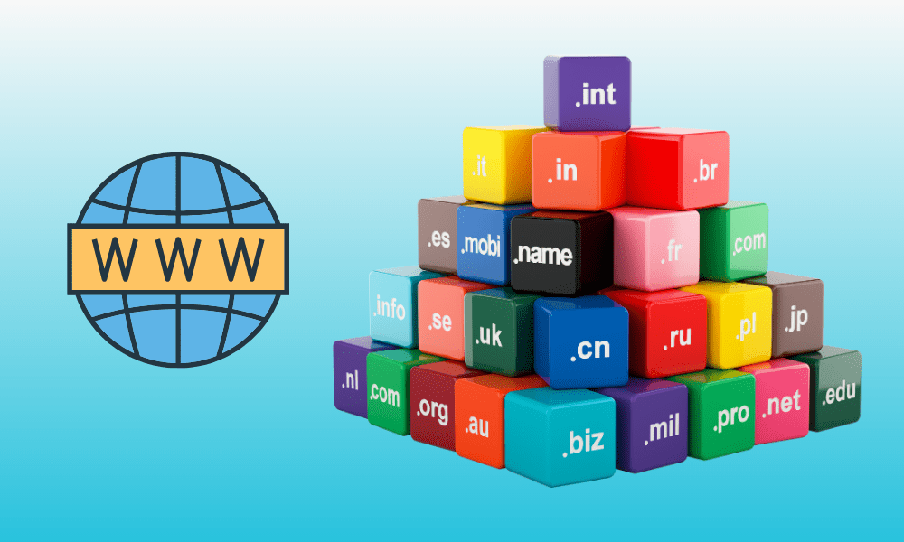 Các tên miền quốc tế phổ biến như .com .net .org được sử dụng tại Việt Nam