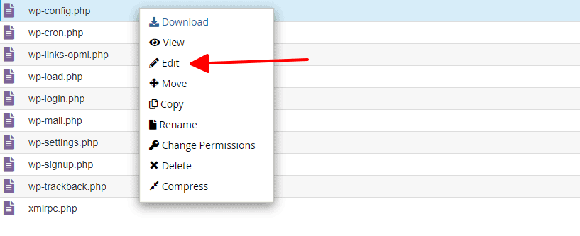 Chọn Edit file wp-config.php trong File Manager của cPanel